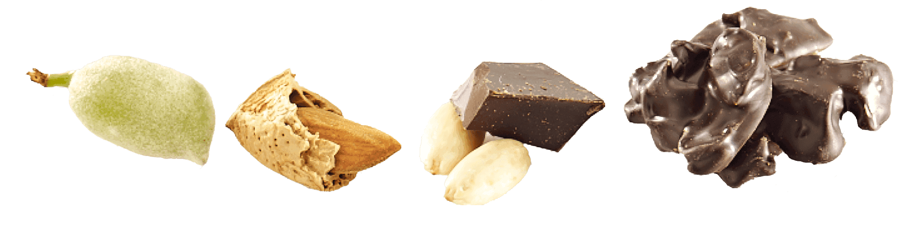 Çağladan Royalmond Dive çikolata badem lezzetine dönüşüm
