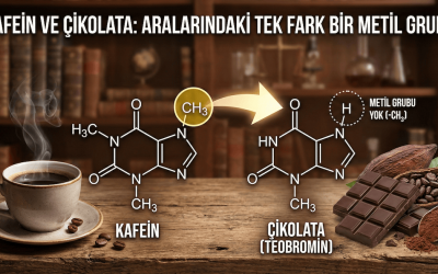 Kafein ve Çikolata: Aralarındaki Tek Fark Bir Metil Grubu